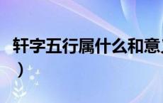 轩字五行属什么和意义取名（轩字五行属什么）