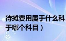 待摊费用属于什么科目借贷方向（待摊费用属于哪个科目）