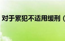 对于累犯不适用缓刑（对于累犯不适用减刑）