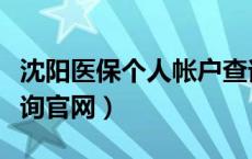 沈阳医保个人帐户查询网上查询（沈阳医保查询官网）