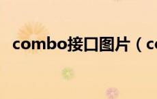 combo接口图片（combo口是什么意思）