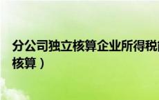 分公司独立核算企业所得税能享受优惠政策吗（分公司独立核算）