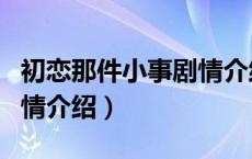 初恋那件小事剧情介绍结局（初恋那件小事剧情介绍）