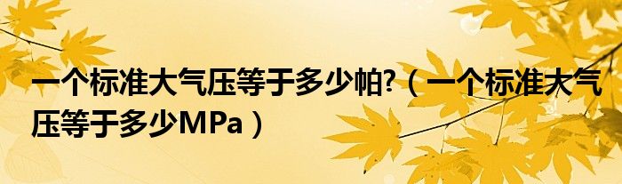 一个标准大气压等于多少帕?（一个标准大气压等于多少MPa）