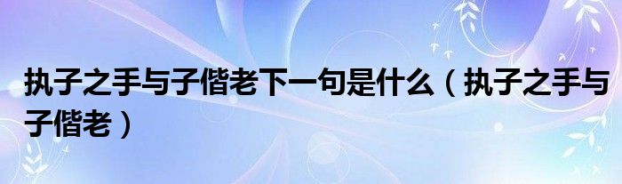 执子之手与子偕老下一句是什么（执子之手与子偕老）