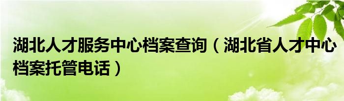 湖北人才服务中心档案查询（湖北省人才中心档案托管电话）