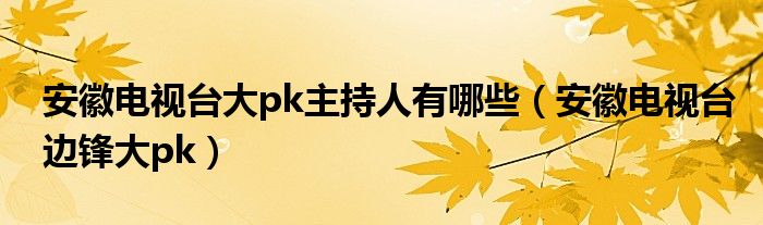 安徽电视台大pk主持人有哪些（安徽电视台边锋大pk）