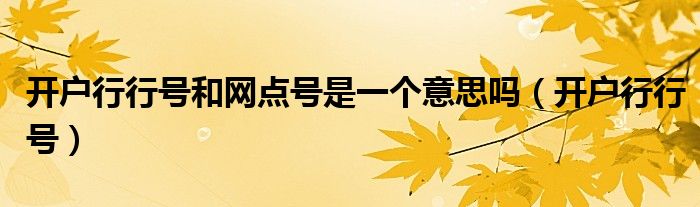 开户行行号和网点号是一个意思吗（开户行行号）