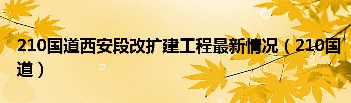 210国道西安段改扩建工程最新情况（210国道）