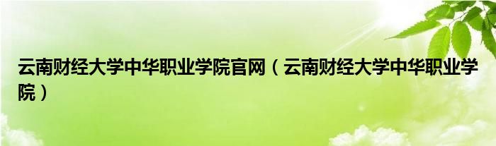 云南财经大学中华职业学院官网（云南财经大学中华职业学院）