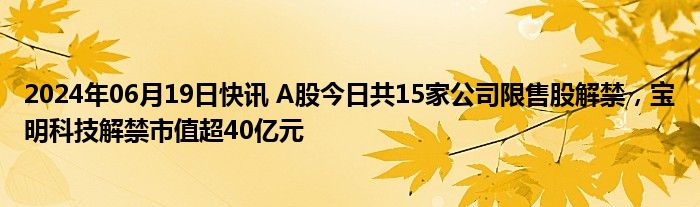 2024年06月19日快讯 A股今日共15家公司限售股解禁，宝明科技解禁市值超40亿元