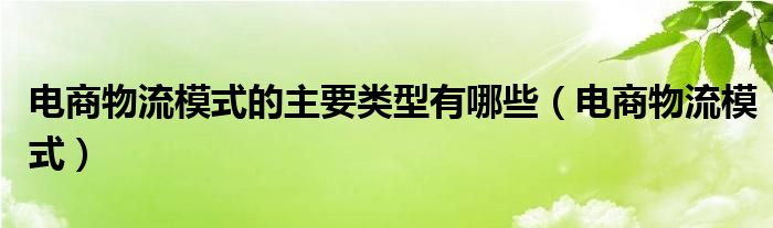 电商物流模式的主要类型有哪些（电商物流模式）