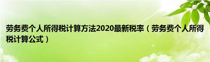 劳务费个人所得税计算方法2020最新税率（劳务费个人所得税计算公式）