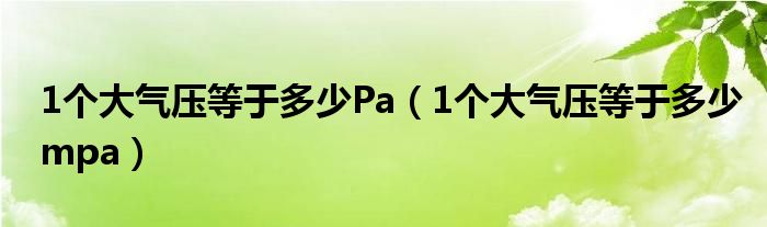 1个大气压等于多少Pa（1个大气压等于多少mpa）