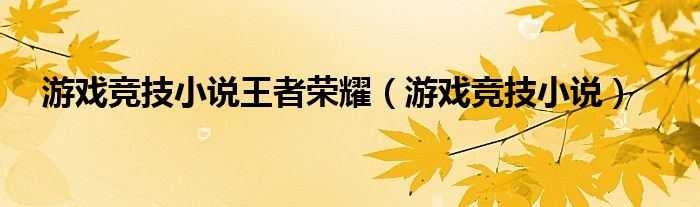 游戏竞技小说王者荣耀（游戏竞技小说）