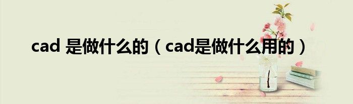 cad 是做什么的（cad是做什么用的）