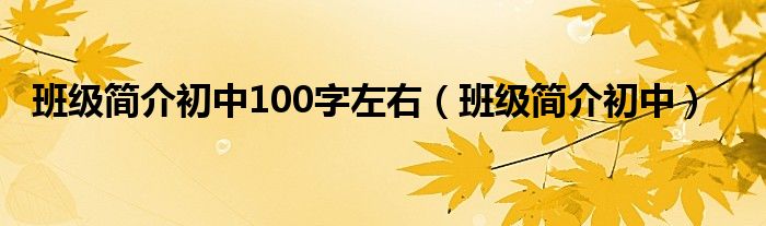 班级简介初中100字左右（班级简介初中）