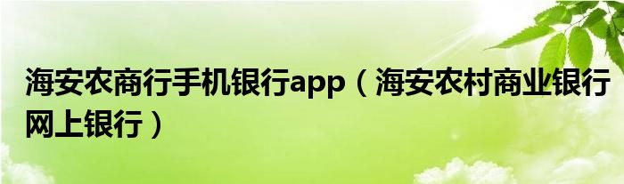 海安农商行手机银行app（海安农村商业银行网上银行）