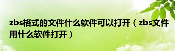 zbs格式的文件什么软件可以打开（zbs文件用什么软件打开）