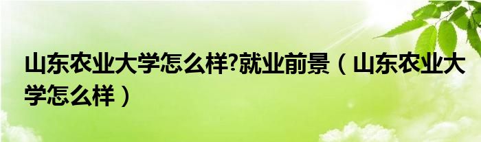 山东农业大学怎么样?就业前景（山东农业大学怎么样）