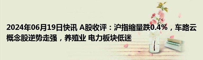 2024年06月19日快讯 A股收评：沪指缩量跌0.4%，车路云概念股逆势走强，养殖业 电力板块低迷