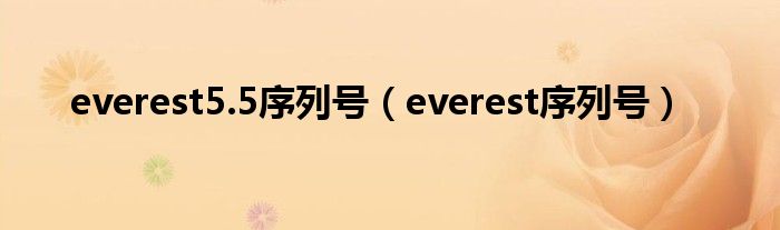 everest5.5序列号（everest序列号）