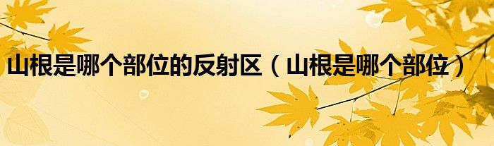 山根是哪个部位的反射区（山根是哪个部位）