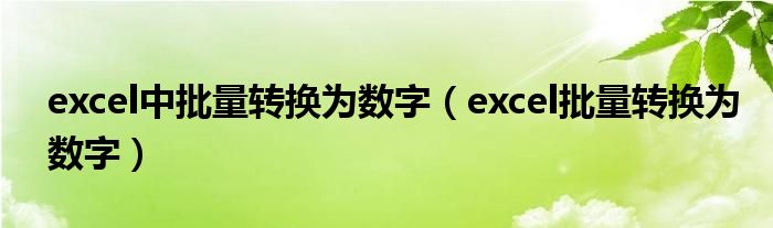 excel中批量转换为数字（excel批量转换为数字）