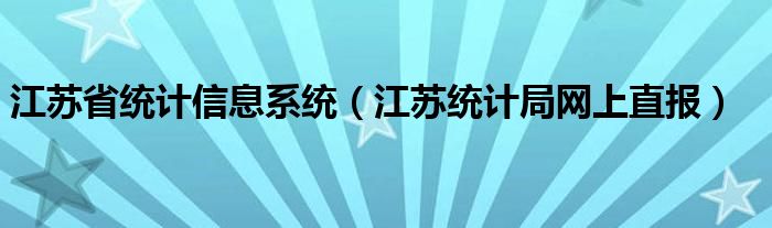 江苏省统计信息系统（江苏统计局网上直报）