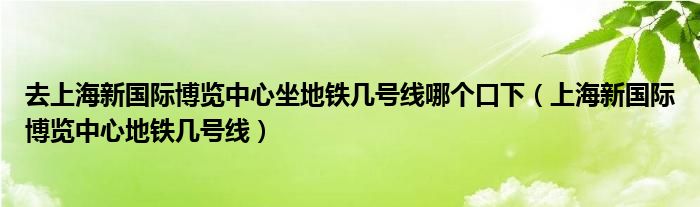 去上海新国际博览中心坐地铁几号线哪个口下（上海新国际博览中心地铁几号线）