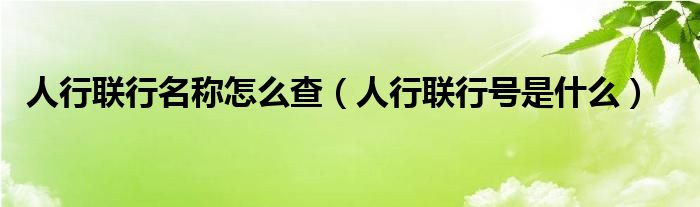 人行联行名称怎么查（人行联行号是什么）