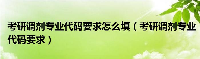 考研调剂专业代码要求怎么填（考研调剂专业代码要求）