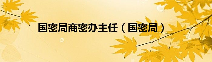 国密局商密办主任（国密局）