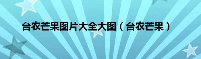 台农芒果图片大全大图（台农芒果）