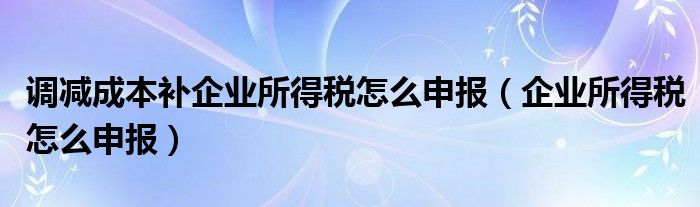 调减成本补企业所得税怎么申报（企业所得税怎么申报）