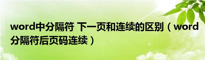 word中分隔符 下一页和连续的区别（word分隔符后页码连续）