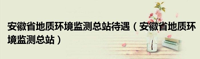 安徽省地质环境监测总站待遇（安徽省地质环境监测总站）