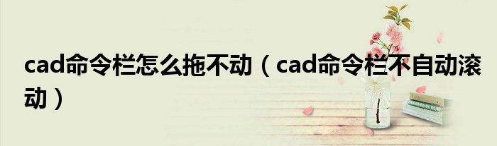 cad命令栏怎么拖不动（cad命令栏不自动滚动）