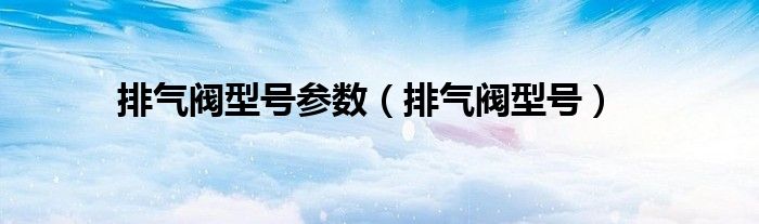 排气阀型号参数（排气阀型号）