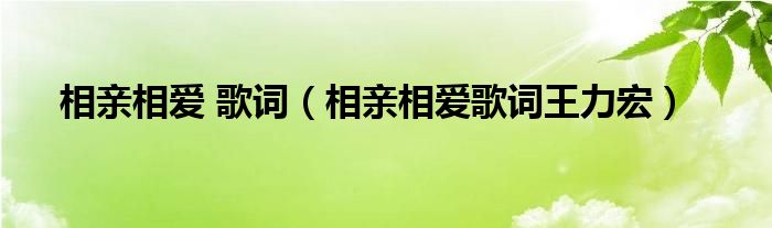 相亲相爱 歌词（相亲相爱歌词王力宏）