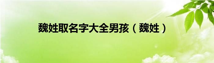 魏姓取名字大全男孩（魏姓）