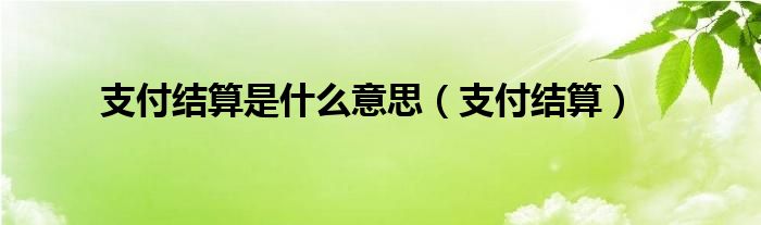 支付结算是什么意思（支付结算）