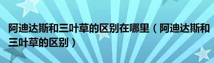 阿迪达斯和三叶草的区别在哪里（阿迪达斯和三叶草的区别）