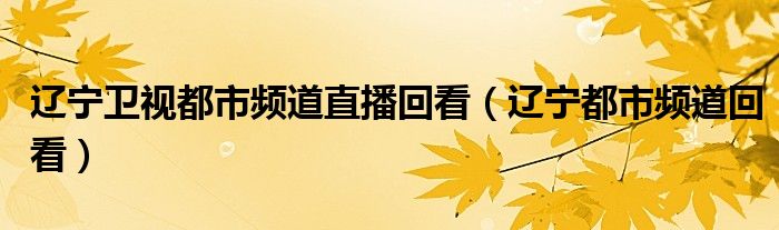 辽宁卫视都市频道直播回看（辽宁都市频道回看）