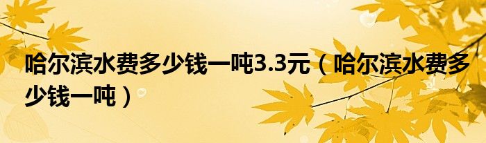 哈尔滨水费多少钱一吨3.3元（哈尔滨水费多少钱一吨）