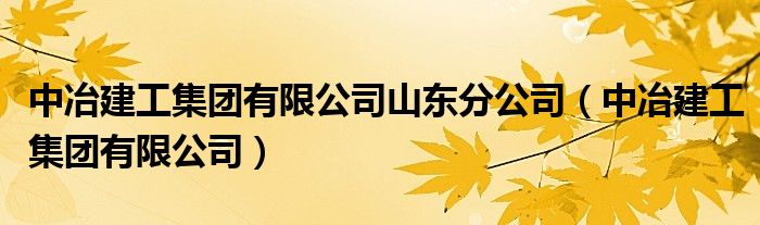 中冶建工集团有限公司山东分公司（中冶建工集团有限公司）