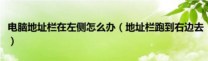 电脑地址栏在左侧怎么办（地址栏跑到右边去）