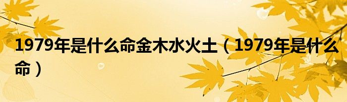 1979年是什么命金木水火土（1979年是什么命）