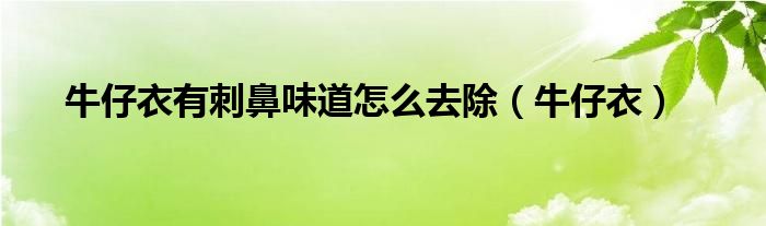 牛仔衣有刺鼻味道怎么去除（牛仔衣）