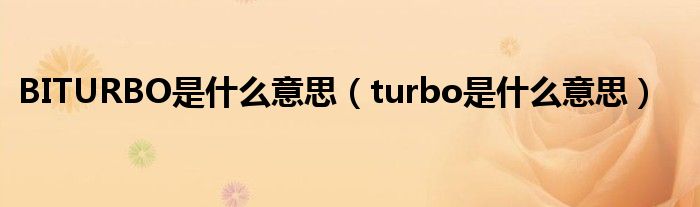 BITURBO是什么意思（turbo是什么意思）